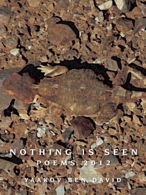 cover image of Nothing Is Seen